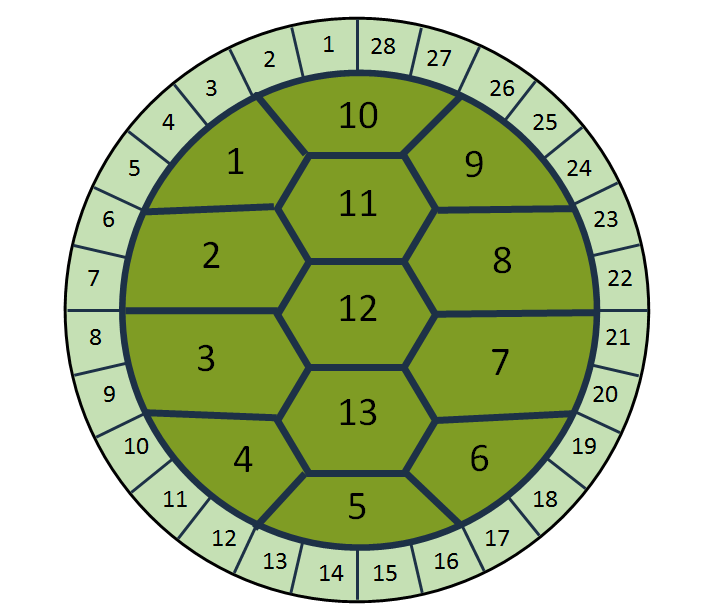 numbered turtle shell
