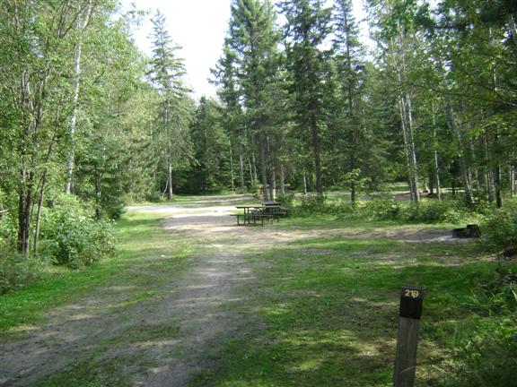 Large shady campsite with picnic bench and fire pit. 