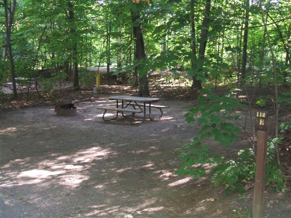 Shady campsite with picnic bench and fire pit. 
