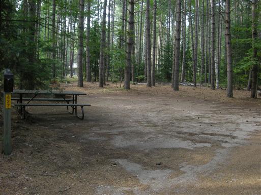 treed campsite at Mikisew