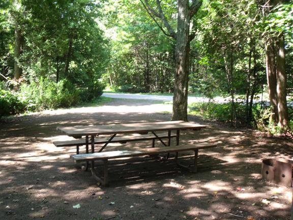 Emplacement de camping ombragé avec une table de pique-nique en premier plan