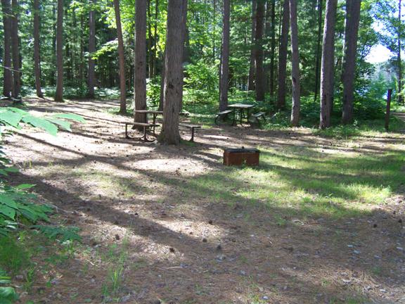 Shady campsite with fire pit and picnic bench. 