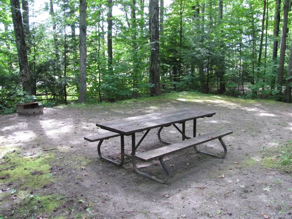 Table de piquenique sur un emplacement de camping, avec des arbres en arrière-plan.