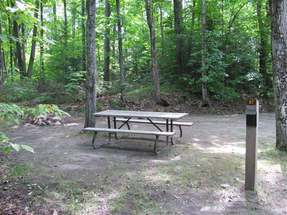 Picnic bench on campsite in a forest. 