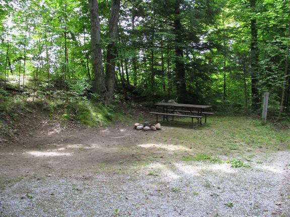 Treed site with picnic table
