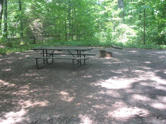 Picnic bench next to fire pit with trees in the background. 