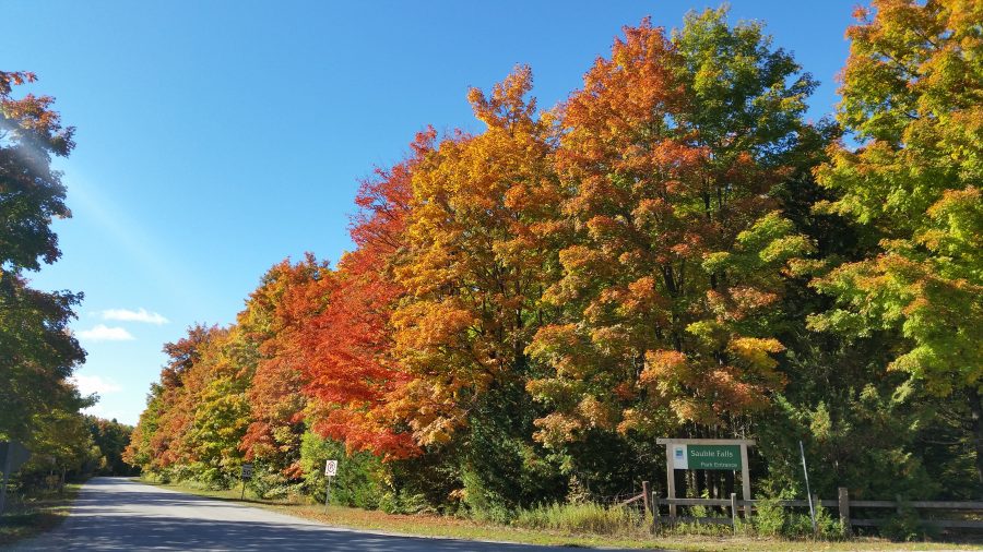 Fall colours at Sauble Falls.
