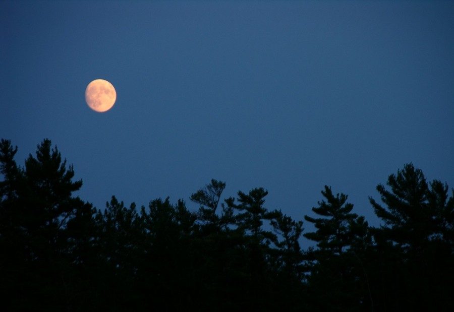 Photo d’une pleine lune.