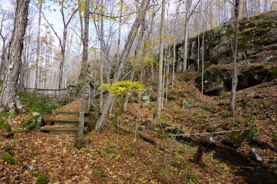 leaf-covered trail through rocky section