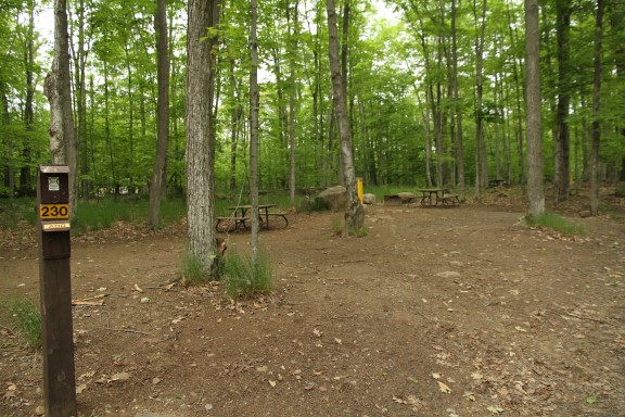 Dirt floor wooded campsite