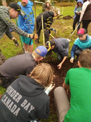Students planting trees