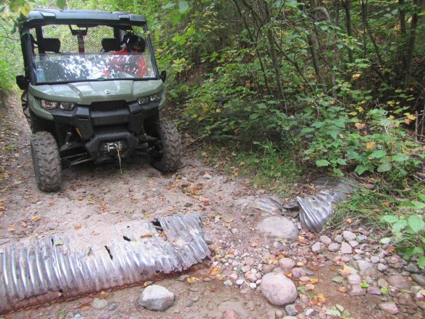 ATV on forest trail