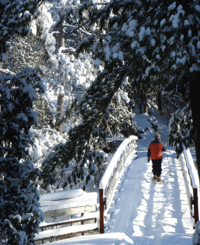 Winter hiker on trail