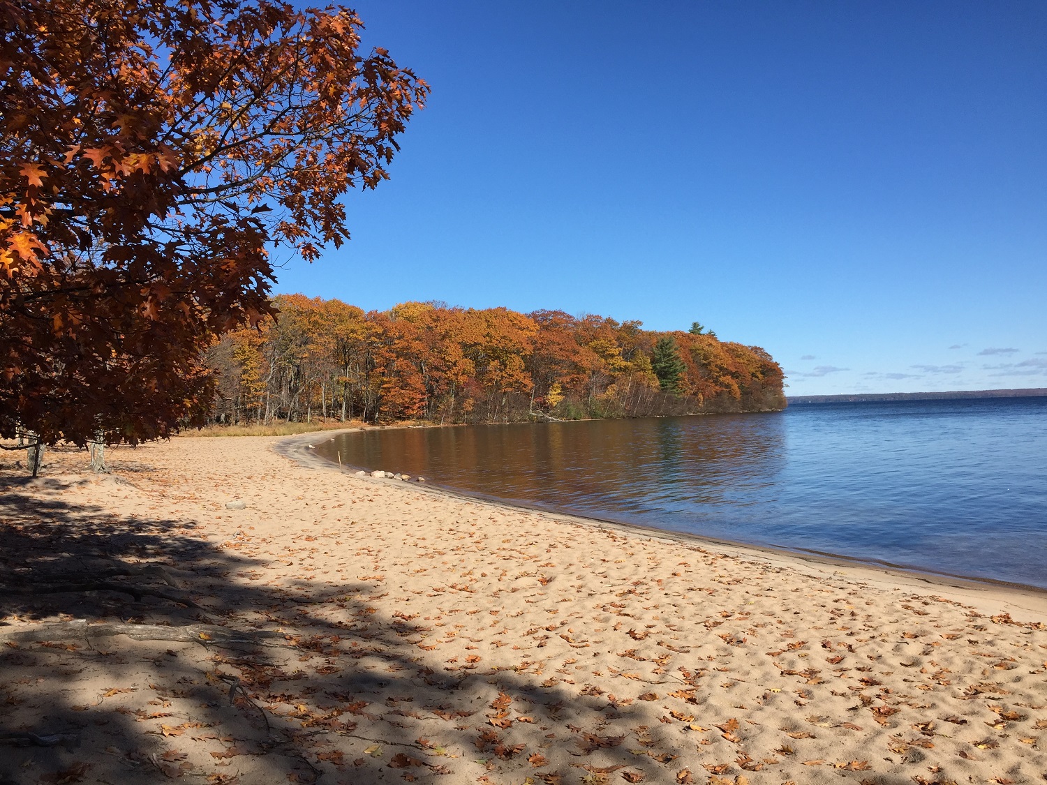 beach with autumn leaves