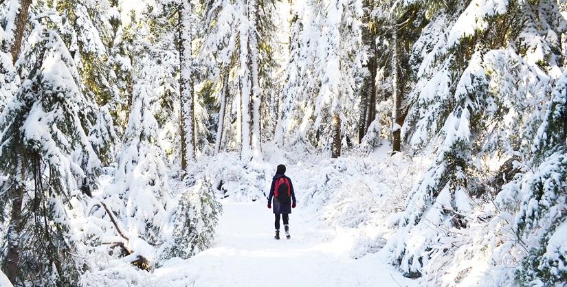 Femme en randonnée dans une forêt enneigée