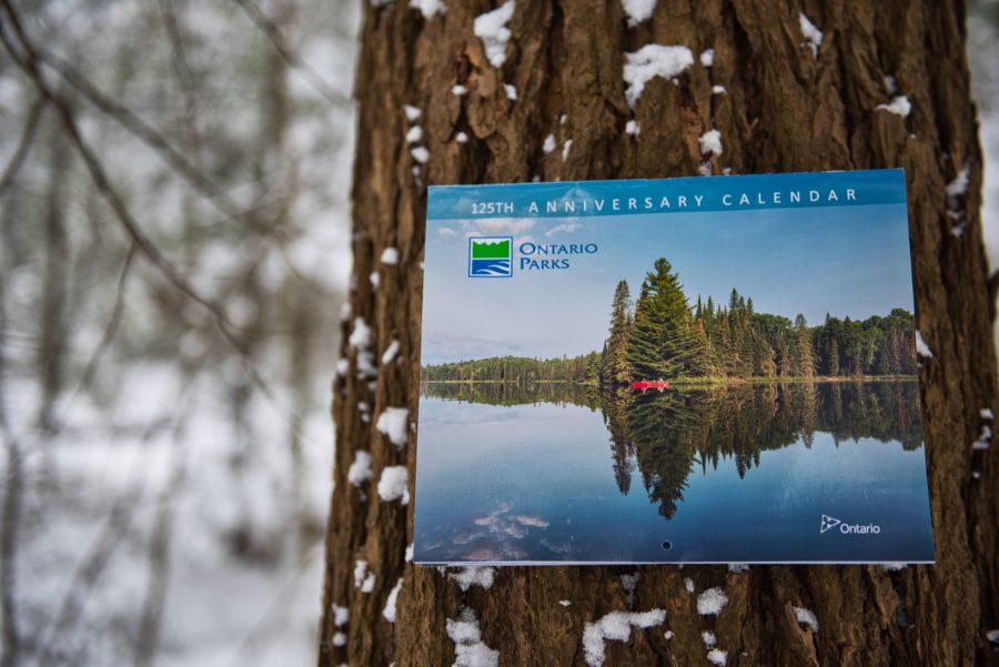 calendar in winter forest