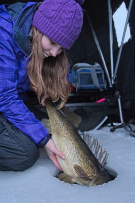 Ashley releases a walleye into the ice
