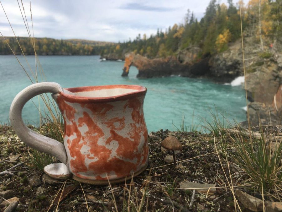 Tea mug with Lake Superior and Sea Lion in the background