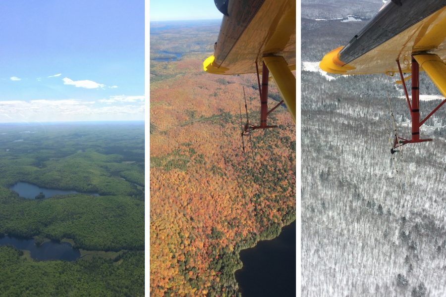 Collage of aerial view of Algonquin in all seasons