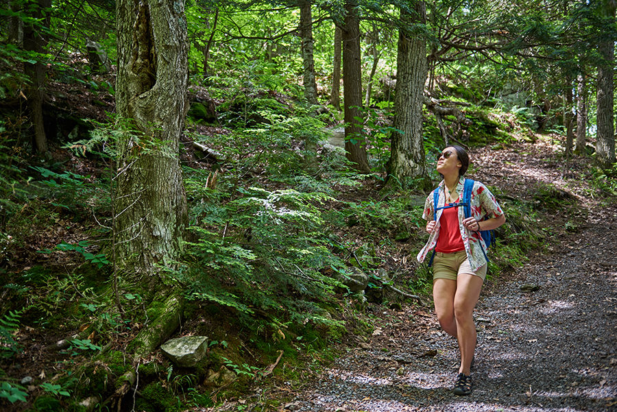 Woman hiking on trail