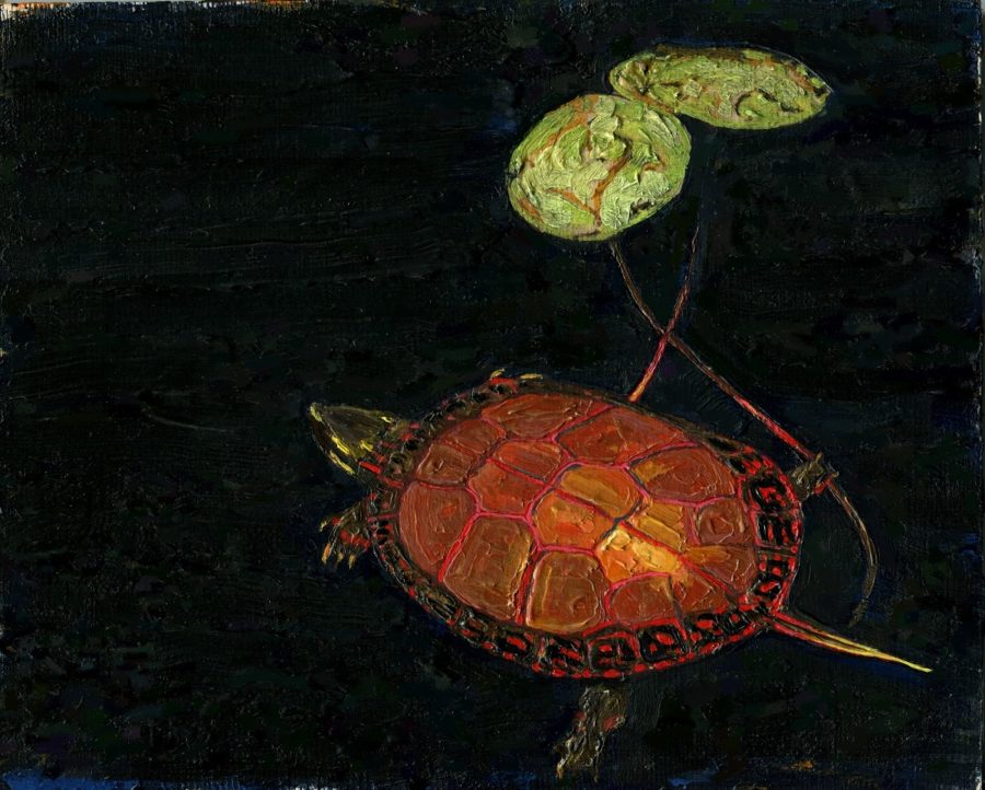 Peinture à l’huile d’une tortue peinte nageant en eau sombre près de deux nénuphars