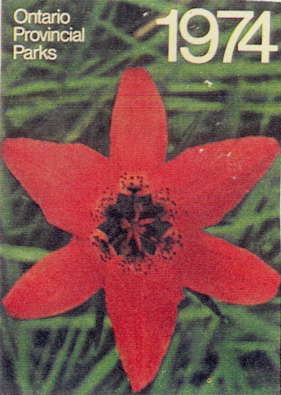 Photo d’un lis rouge écarlate muni d’un centre et de six pétales sur un fond de feuilles vertes. On peut lire les mots suivants sur le permis : «?Parcs provinciaux de l’Ontario, 1974?»