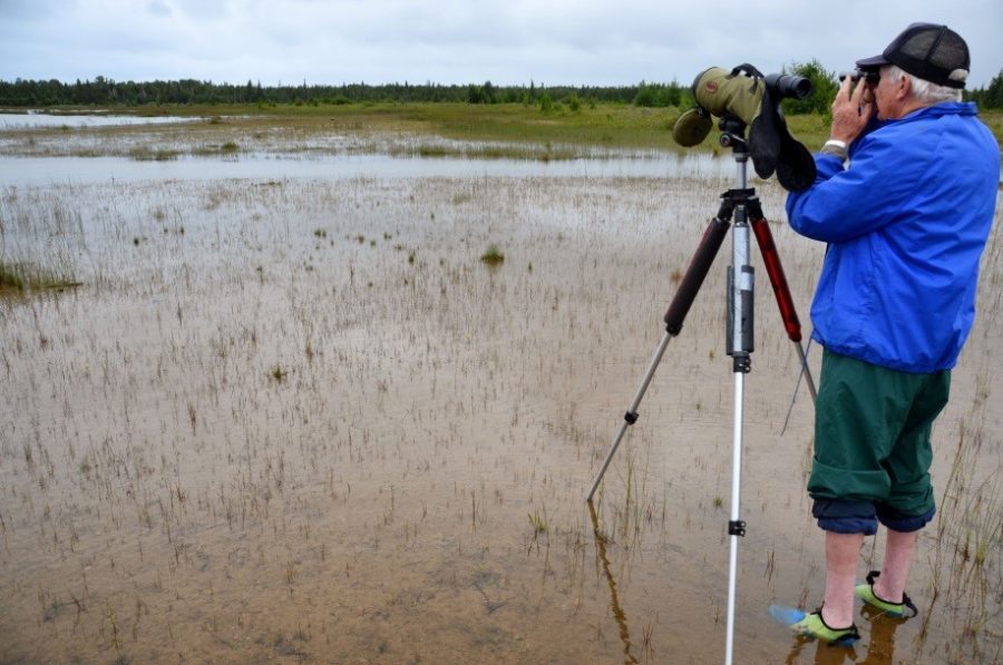 Birder in blue jacket and black hat with a scope on a tri-pod, looking out over a marsh on a grey day