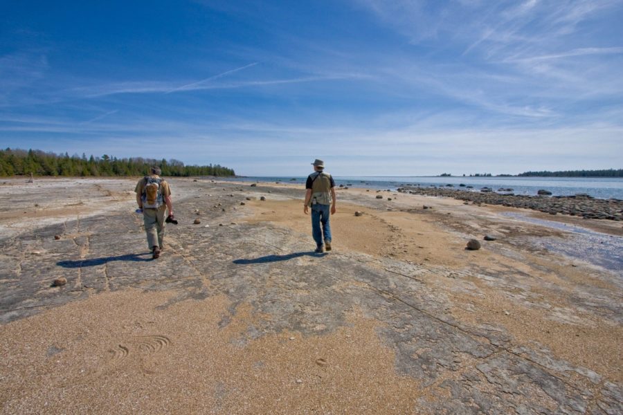 Two people walking along bedrock and sand on a day with a blue sky with a coniferous forest on the left and water on the right