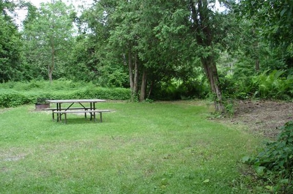 Site avec gazon tondu, entouré d’arbres avec une table à pique-nique et un foyer