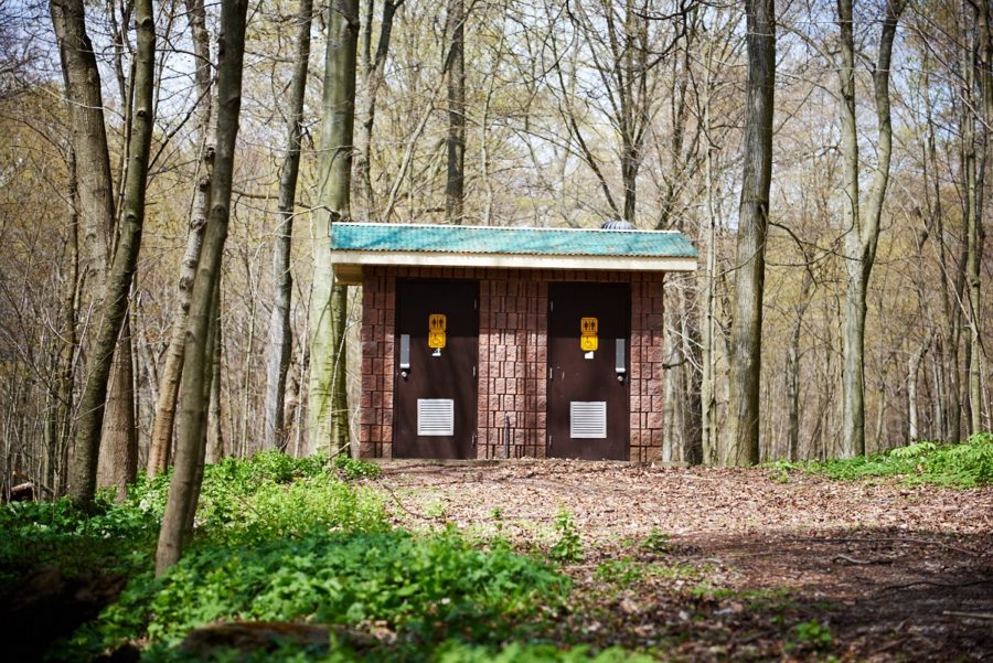 Extérieur de toilettes d’un petit parc, avec deux portes brunes, un toit vert, dans une forêt d’arbres à feuilles caduques