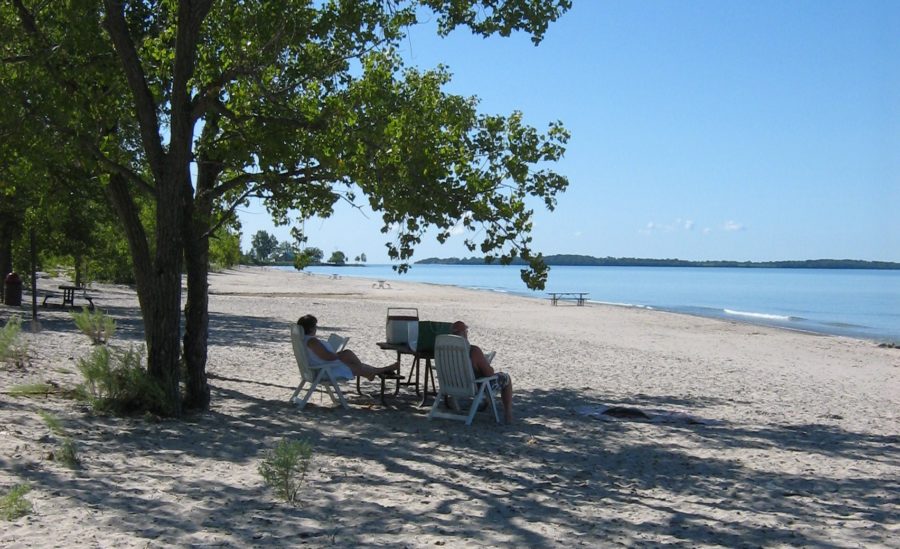 Des chaises de jardin sur une plage à l’ombre d’un arbre
