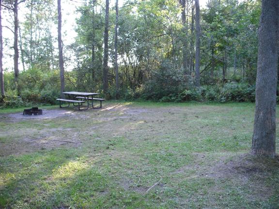 Site avec gazon tondu, table de pique-nique et foyer. Arbres aux alentours et, au-delà des arbres, il y a de l’eau.