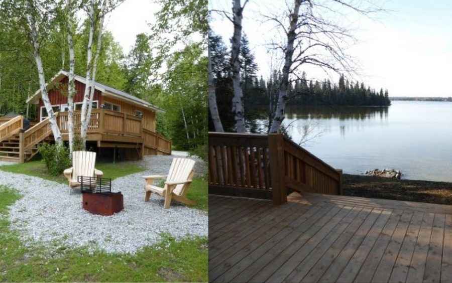 Lovely wood cabin surrounded by birch trees, right on the water