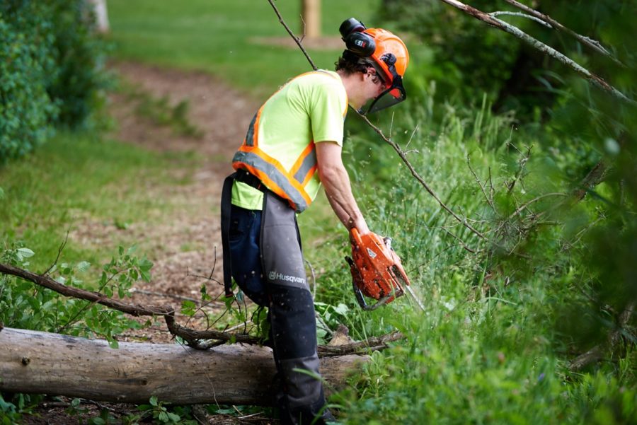 Guy in full yellow and orange safety gear including helmet, using a chainsaw on a large trunk on the ground