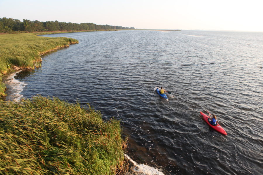 Grassy shoreline with forest in the distance. Two kayakers paddling off shore.