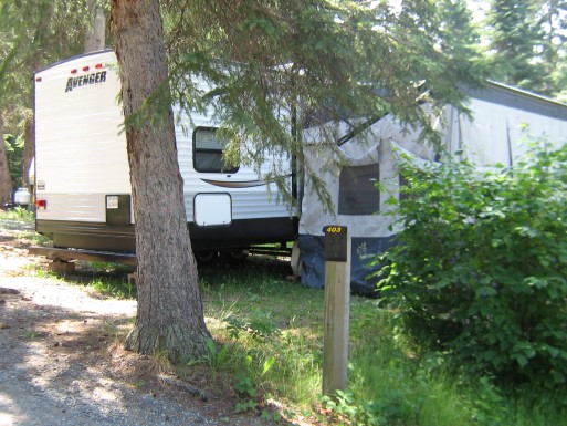 Trailer with large pine and shrubbery surrounding