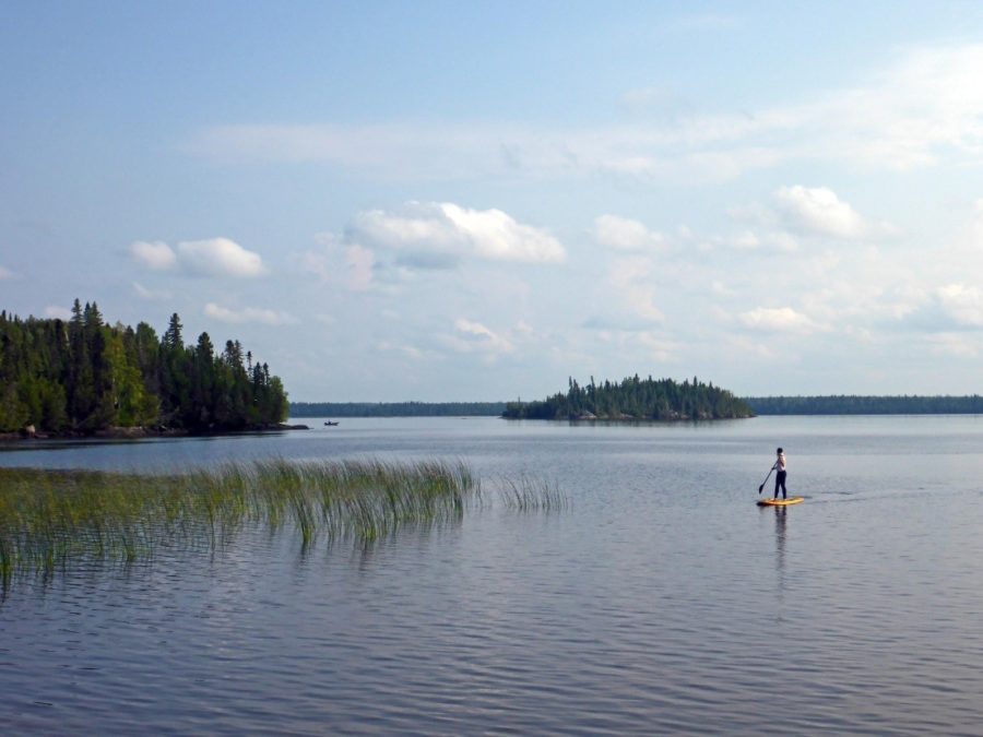 Une personne fait de la planche à pagayer debout sur un lac, de la végétation apparente se trouvant près du rivage.