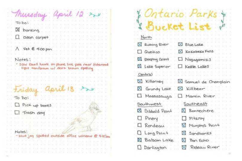 Pages d’un journal à puces avec une liste des parcs de l’Ontario à visiter d’un côté, et une combinaison de listes de choses à faire, de dessins et de données sur l’observation de la faune de l’autre côté.