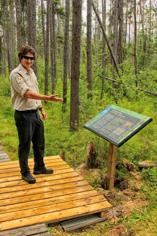 Membre du personnel du parc portant des lunettes de soleil et montrant un panneau d’interprétation qui contient de l’information sur le sentier Lonesome Bog
