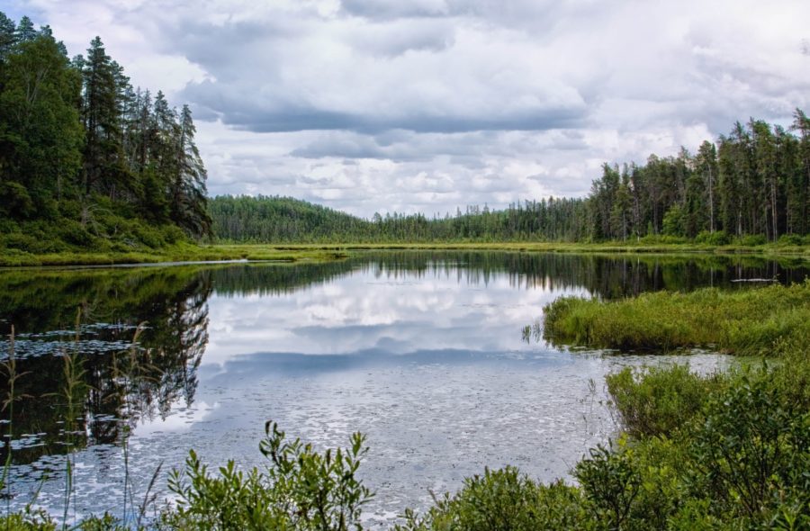Small lake with tall conifer forest on the right and left side of the photo, with shorter and sparser conifer forest in the background. Low lying greenery surrounds the lake.