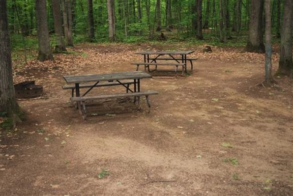 Emplacement de camping avec deux tables de pique-nique, entouré par la forêt.