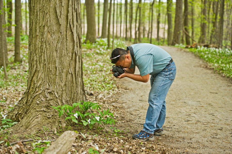 Man bending over to take a picture of a trillium