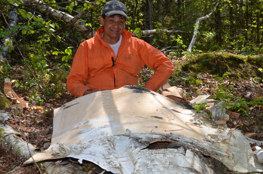 Chuck working with large sheet of birch bark
