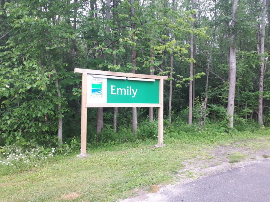 New green and white park sign with Ontario Parks logo that says Emily, surrounded by deciduous trees