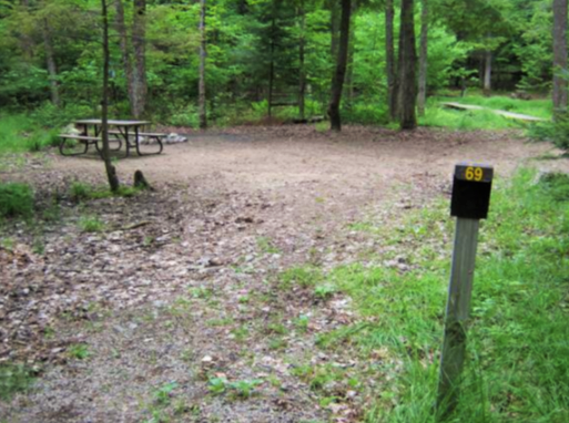 Shady green campsite with a site marker and a picnic table