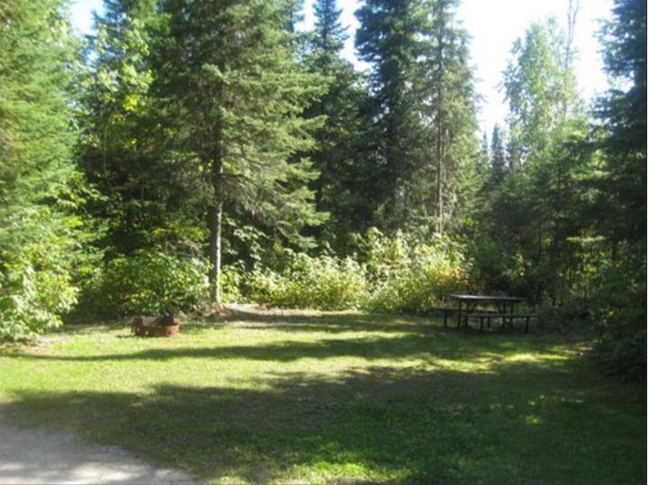 Terrain de camping avec gazon, table de pique-nique et foyer, entouré de conifères matures