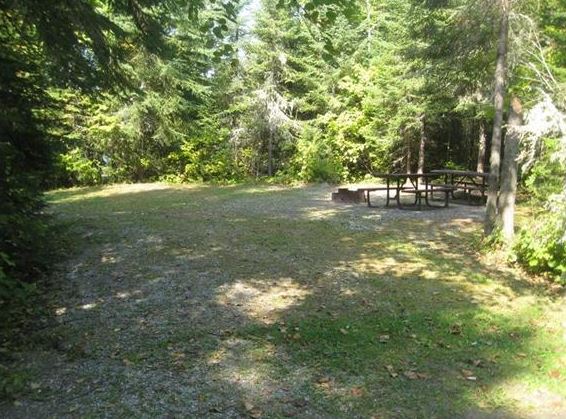 Terrain de camping avec de l’herbe, une table de pique-nique et une aire de feu recouvert d’ombre 