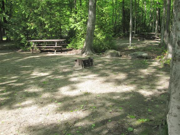 Shady campsite surrounded by deciduous trees including fire pit and picnic table