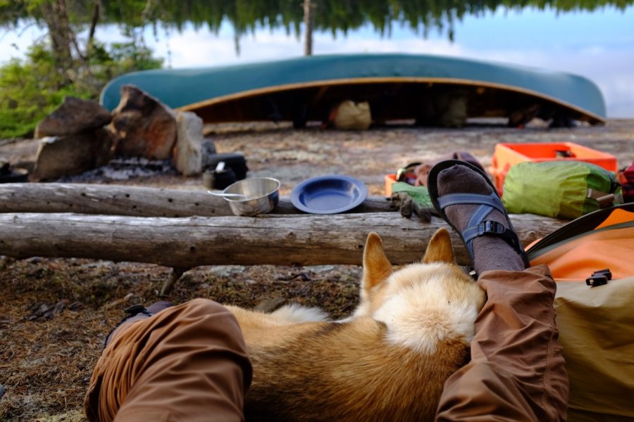 Emplacement de camping, qui comprend un chien, de l’équipement et un canot