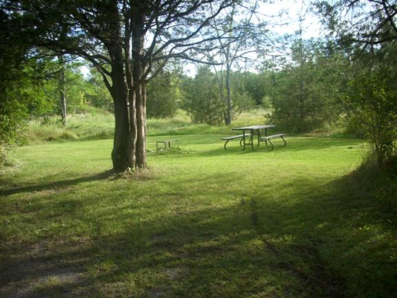 Shady, grassy campsite with picnic table